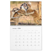 KMP meerkats - Kalender 2019 (Jan 2026)
