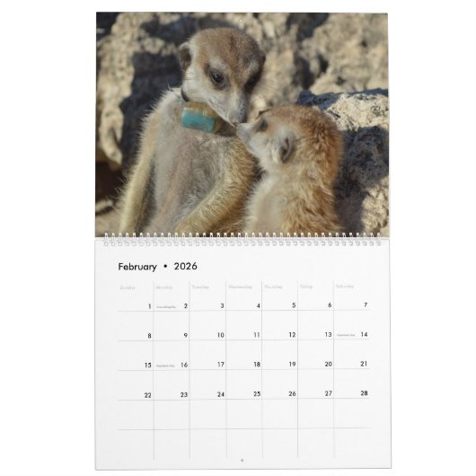 KMP Meerkats Kalender 2023 (Feb 2026)