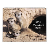 KMP Meerkats Kalender 2023 (Titelbild)