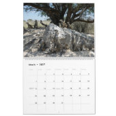 KMP Meerkats Kalender 2023 (Mär 2027)