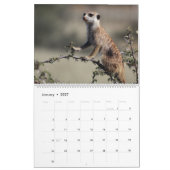 KMP Meerkats Kalender 2023 (Jan 2027)