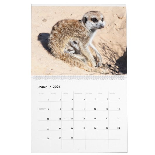 KMP Meerkats Kalender 2024 (Mär 2026)