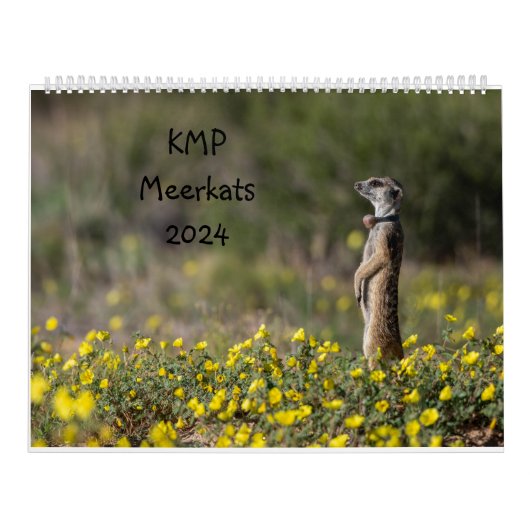 KMP Meerkats Kalender 2024 (Titelbild)