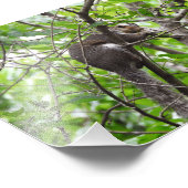 Knabbernde Eichhörnchen Fotodruck (Ecke)