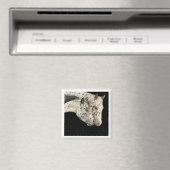 Knabstrupper Colts Magnet (In Situ (Geschirrspüler))