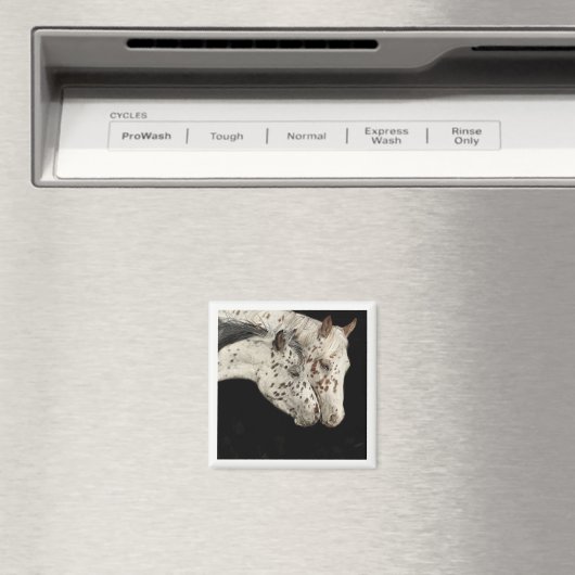 Knabstrupper Colts Magnet (In Situ (Geschirrspüler))