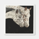 Knabstrupper Colts Magnet (Vorne)