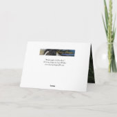 Knabstrupper-Hengst rennt Pferdegrußkarte Karte (Rückseite)