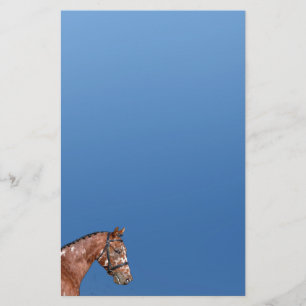 Knabstrupper Stallion Stationery Paper Blue Briefpapier