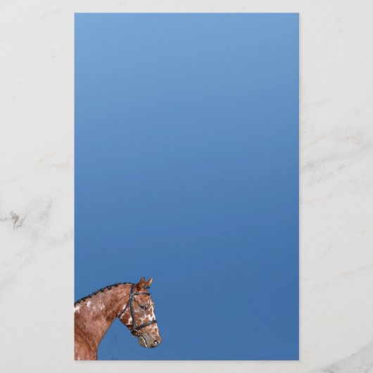 Knabstrupper Stallion Stationery Paper Blue Briefpapier (Vorderseite)