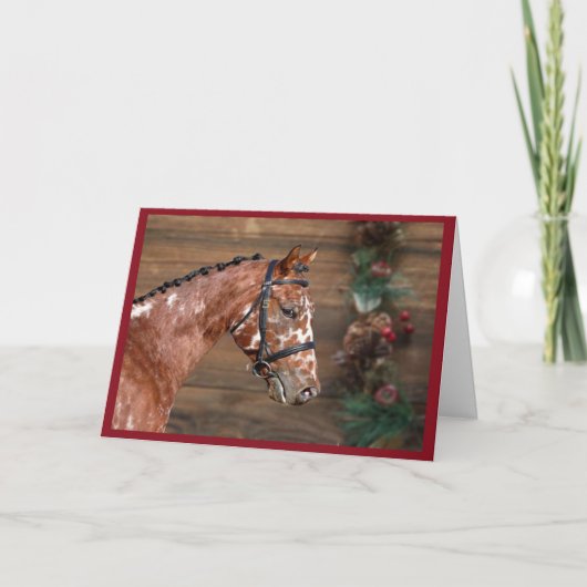 Knabstrupper - Weihnachtskarte für das Pferd Dankeskarte (Vorderseite)