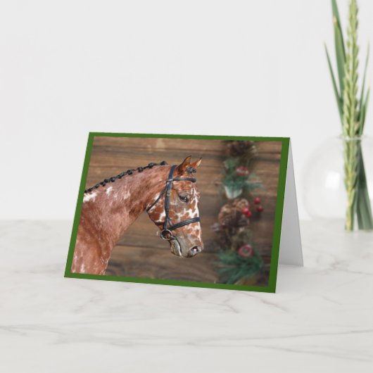 Knabstrupper - Weihnachtskarte für das Pferd Dankeskarte (Vorderseite)