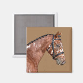 Knabstupper Stallion Magnet (Vorderseite/Rückseite)