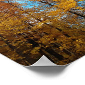 Knackiger Herbsttag Poster (Ecke)