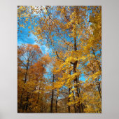 Knackiger Herbsttag Poster (Vorne)