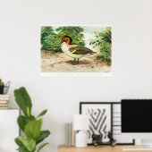 Knäkente Poster (Heimbüro)