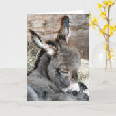 knapp karte (Gelbe Blume)