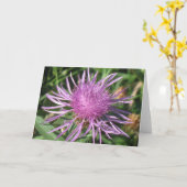 Knappweed Anmerkungs-Karte Karte (Gelbe Blume)