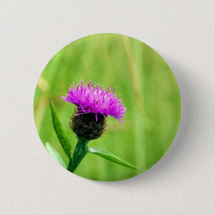 Knapweed-Abzeichen Button