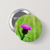 Knapweed-Abzeichen Button (Vorne & Hinten)