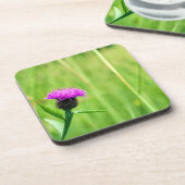 Knapweed Getränkeuntersetzer (Linke Seite)