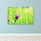 Knapweed Leinwanddruck (Insitu (Holzboden))