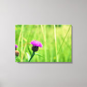 Knapweed Leinwanddruck (Vorderseite)