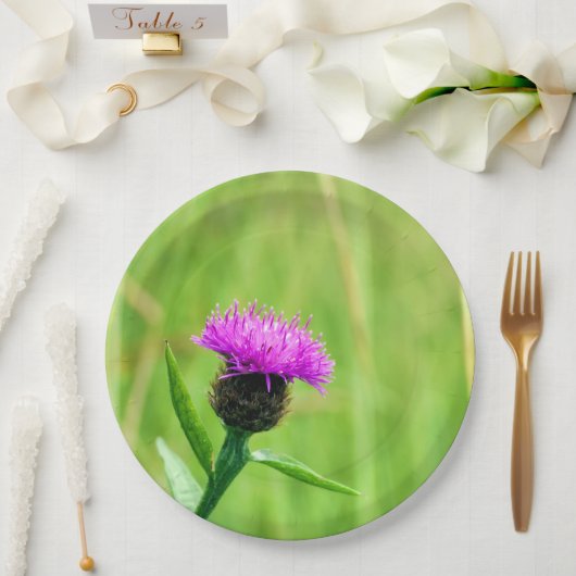 Knapweed-Platte Pappteller (Hochzeit)