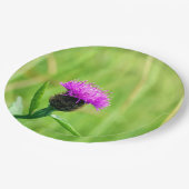 Knapweed-Platte Pappteller (Schrägansicht)