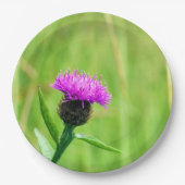Knapweed-Platte Pappteller (Vorderseite)
