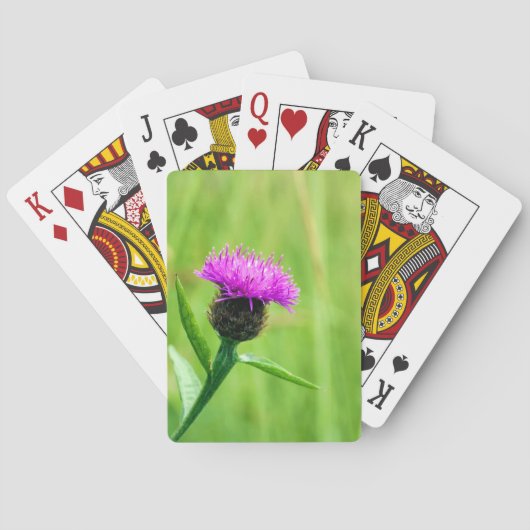 Knapweed Spielkarten (Rückseite)