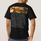 Knature Knowledge Breitkopffelskink T-Shirt (Rückseite)