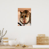 Knaw Poster (Küche)