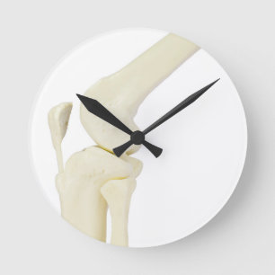 Knee joint model of human leg runde wanduhr