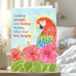 Knee Surgery Healing with Scarlet Macaws, Hibiscus Karte