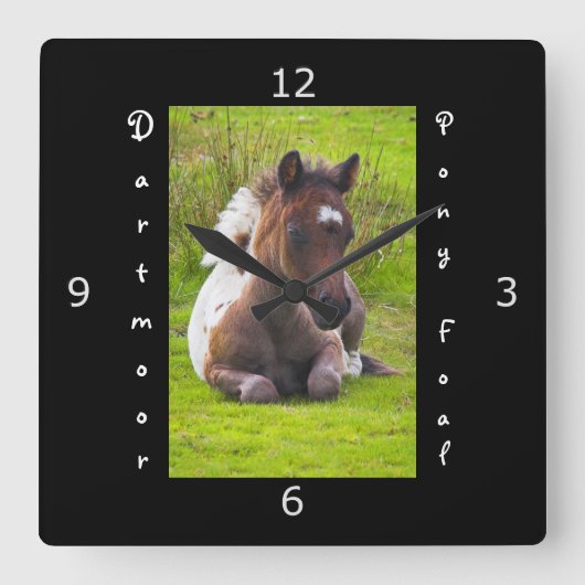 Kneeling Dartmoor Pony Foal Quadratische Wanduhr (Vorderseite)