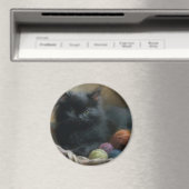 Knetbegleiter Black Kitten mit Garn Magnet (In Situ (Geschirrspüler))