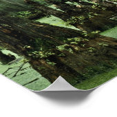 Knie aus Sumpfwasser Poster (Ecke)