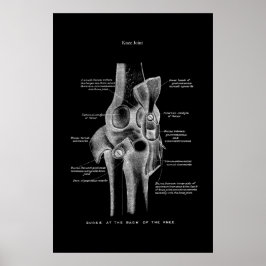 Knie Joint Anatomy Medical Wall Decor Poster