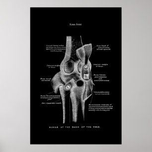 Knie Joint Anatomy Medical Wall Decor Poster