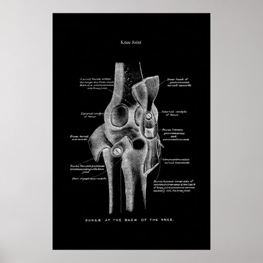 Knie Joint Anatomy Medical Wall Decor Poster (Vorne)