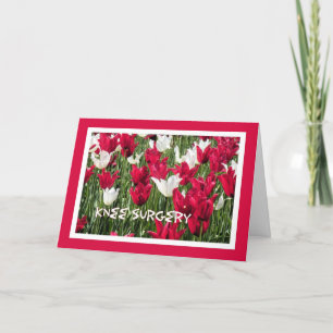Knie-OP-Karte, rote weiße Tulpen Karte