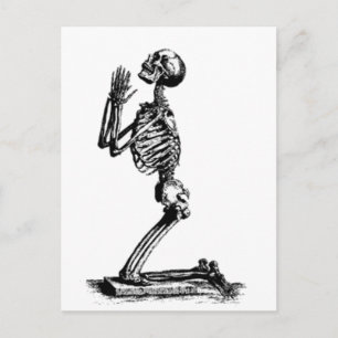 Knieender Skelett Postkarte