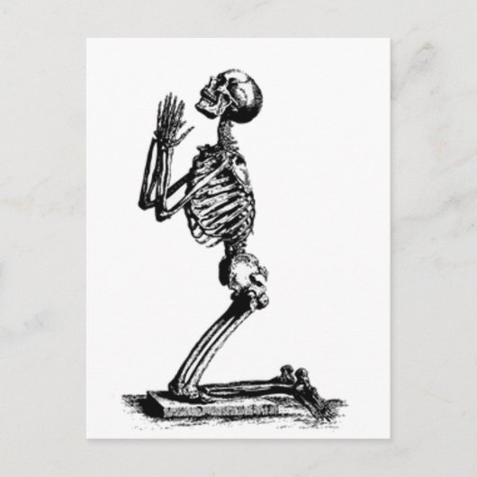 Knieender Skelett Postkarte (Vorderseite)
