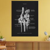 Kniegelenke Anatomie Kunst Leinwanddruck (Insitu (Wohnzimmer))