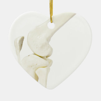 Kniegelenkmodell des menschlichen Beines Keramik Ornament