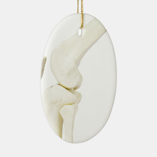 Kniegelenkmodell des menschlichen Beines Keramik Ornament (Rechts)