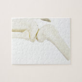 Kniegelenkmodell des menschlichen Beines Puzzle (Horizontal)