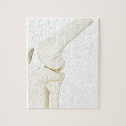 Kniegelenkmodell des menschlichen Beines Puzzle (Vertikal)