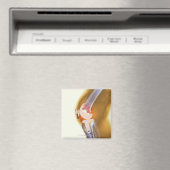 Kniegelenksersatz. Farbige Röntgenaufnahme eines g Magnet (In Situ (Geschirrspüler))